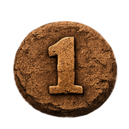1 год на проекте
